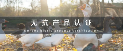 重磅！BCC正式受理“无抗产品”认证业务