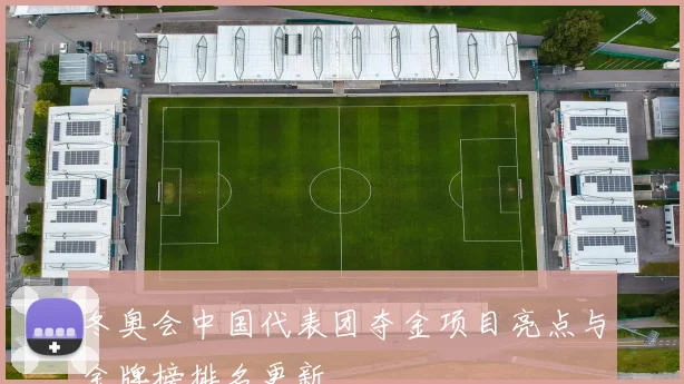 冬奥会中国代表团夺金项目亮点与金牌榜排名更新