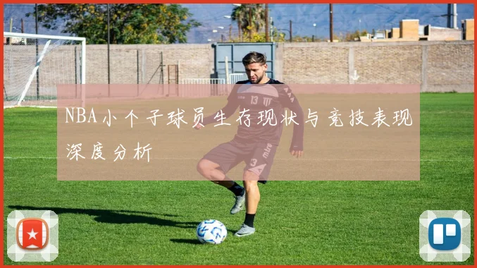 NBA小个子球员生存现状与竞技表现深度分析