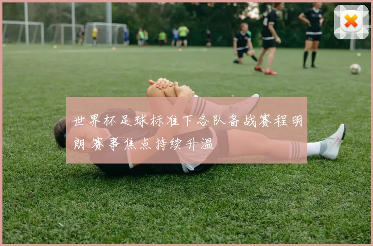 世界杯足球标准下各队备战赛程明朗 赛事焦点持续升温