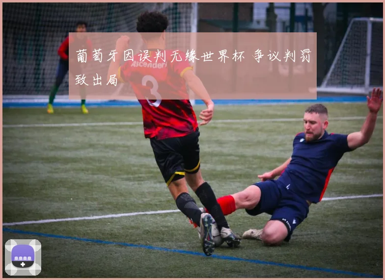 葡萄牙因误判无缘世界杯 争议判罚致出局