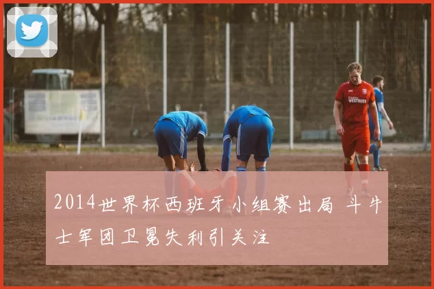 2014世界杯西班牙小组赛出局 斗牛士军团卫冕失利引关注